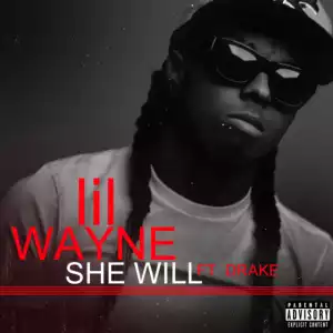 Lil Wayne - She Will Ft. Drake